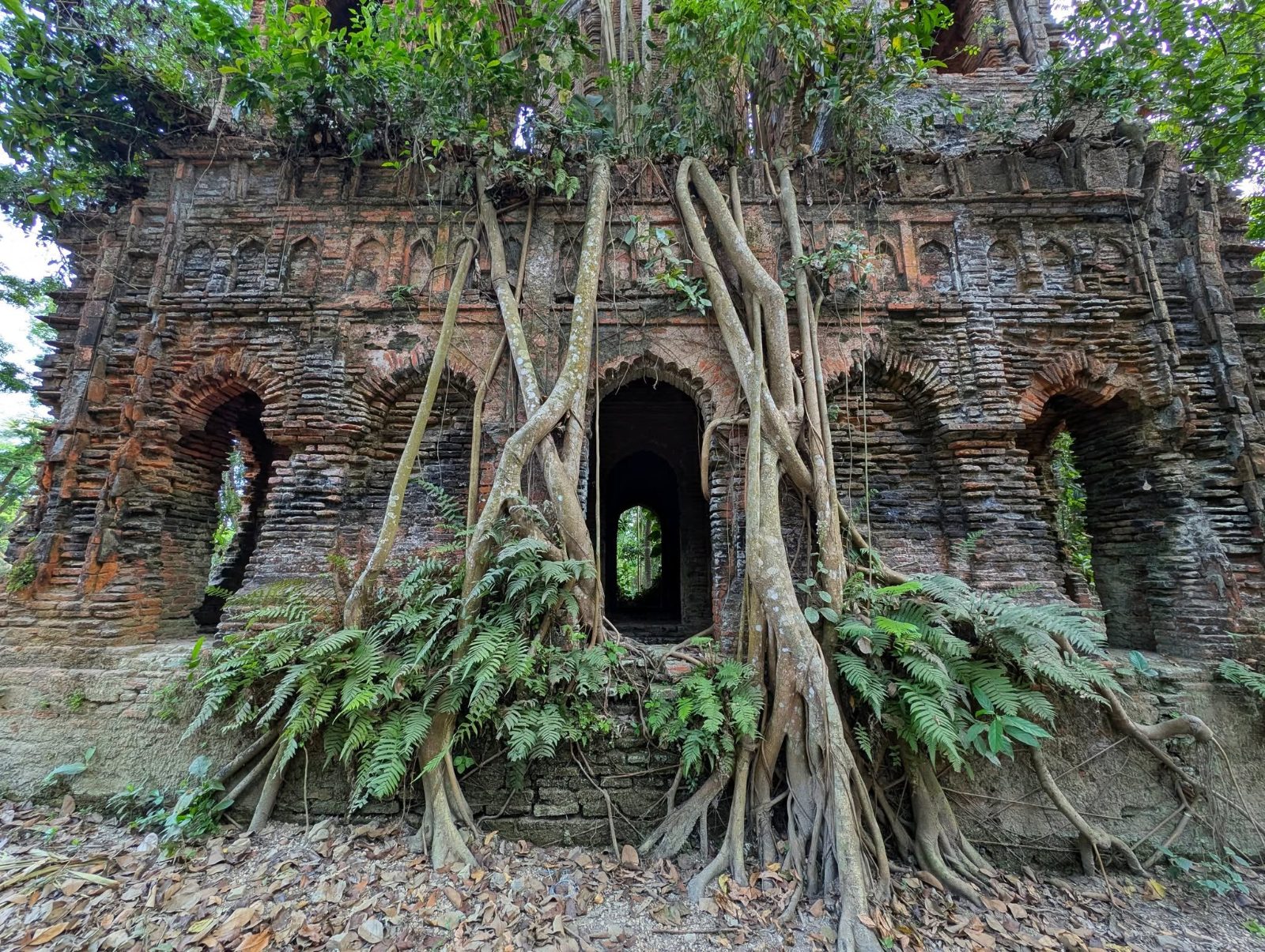 কলসকাঠী জমিদার বাড়ি: ছবি ৮