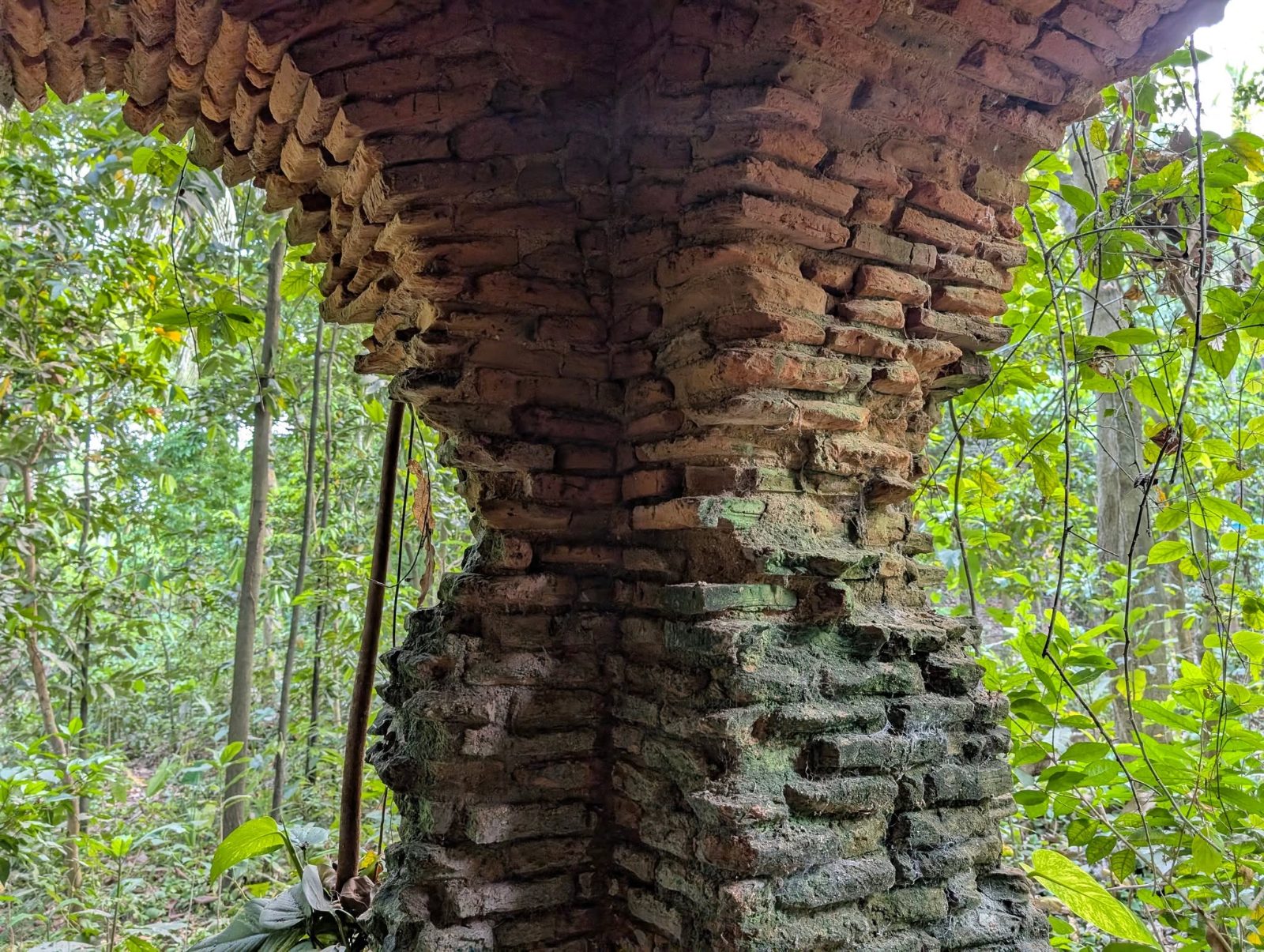কলসকাঠী জমিদার বাড়ি: ছবি ৯
