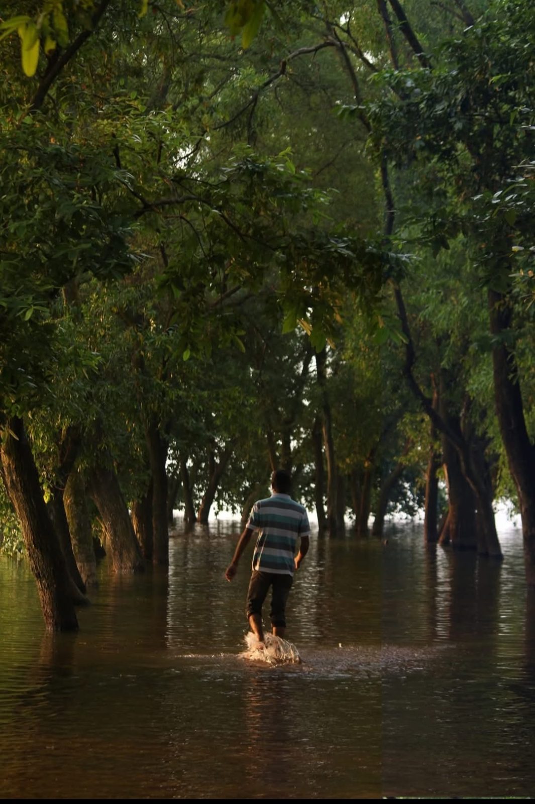 দামুসের বিল, লক্ষীপুর, চাঁপাইনবাবগঞ্জ