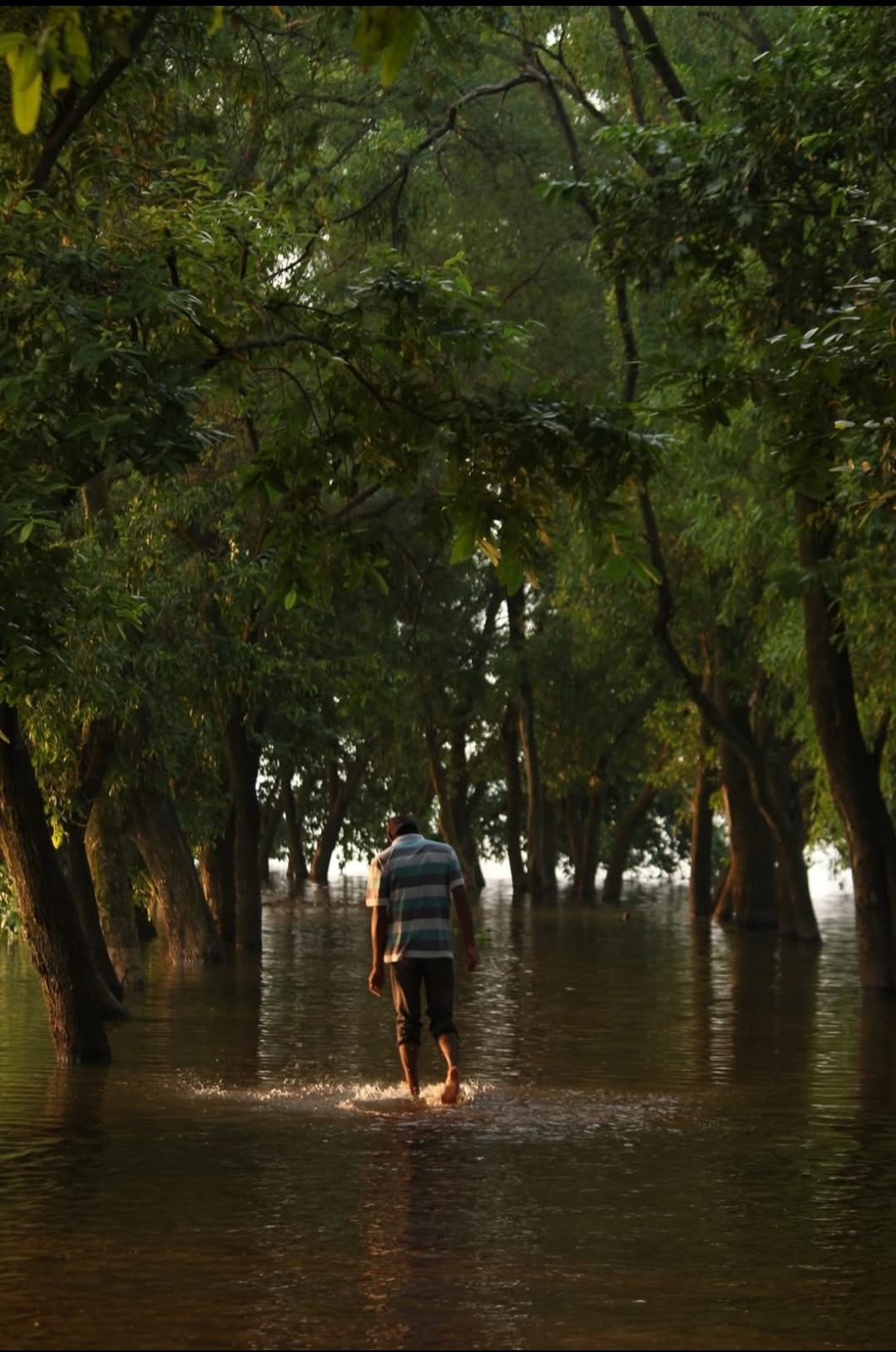 দামুসের বিল: ছবি ২