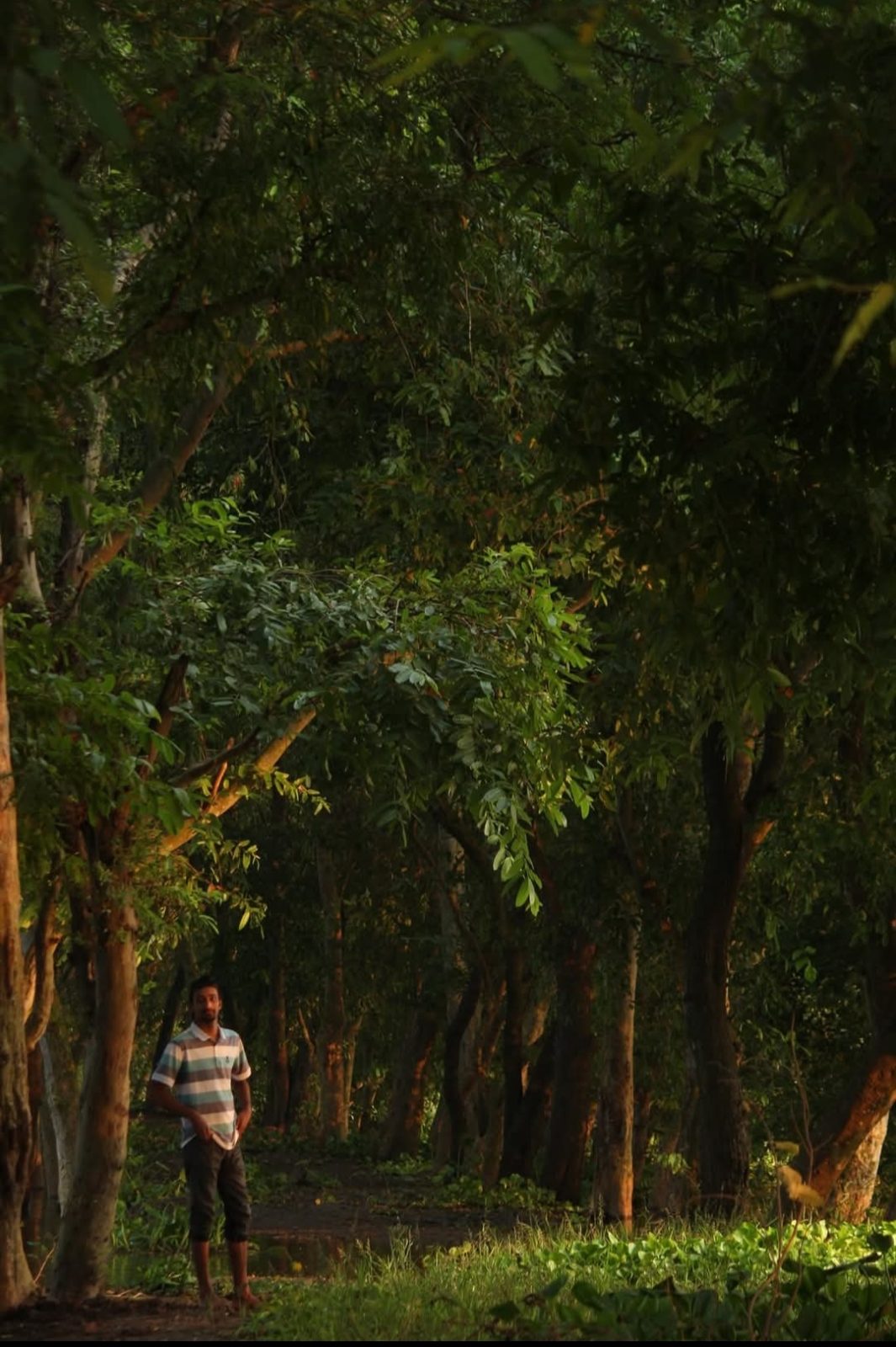 দামুসের বিল: ছবি ৩