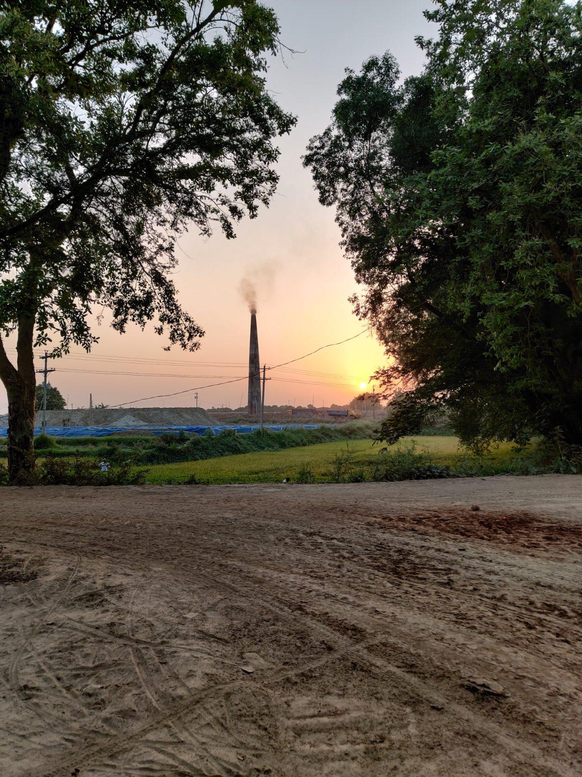 দামুসের বিল: ছবি ৫