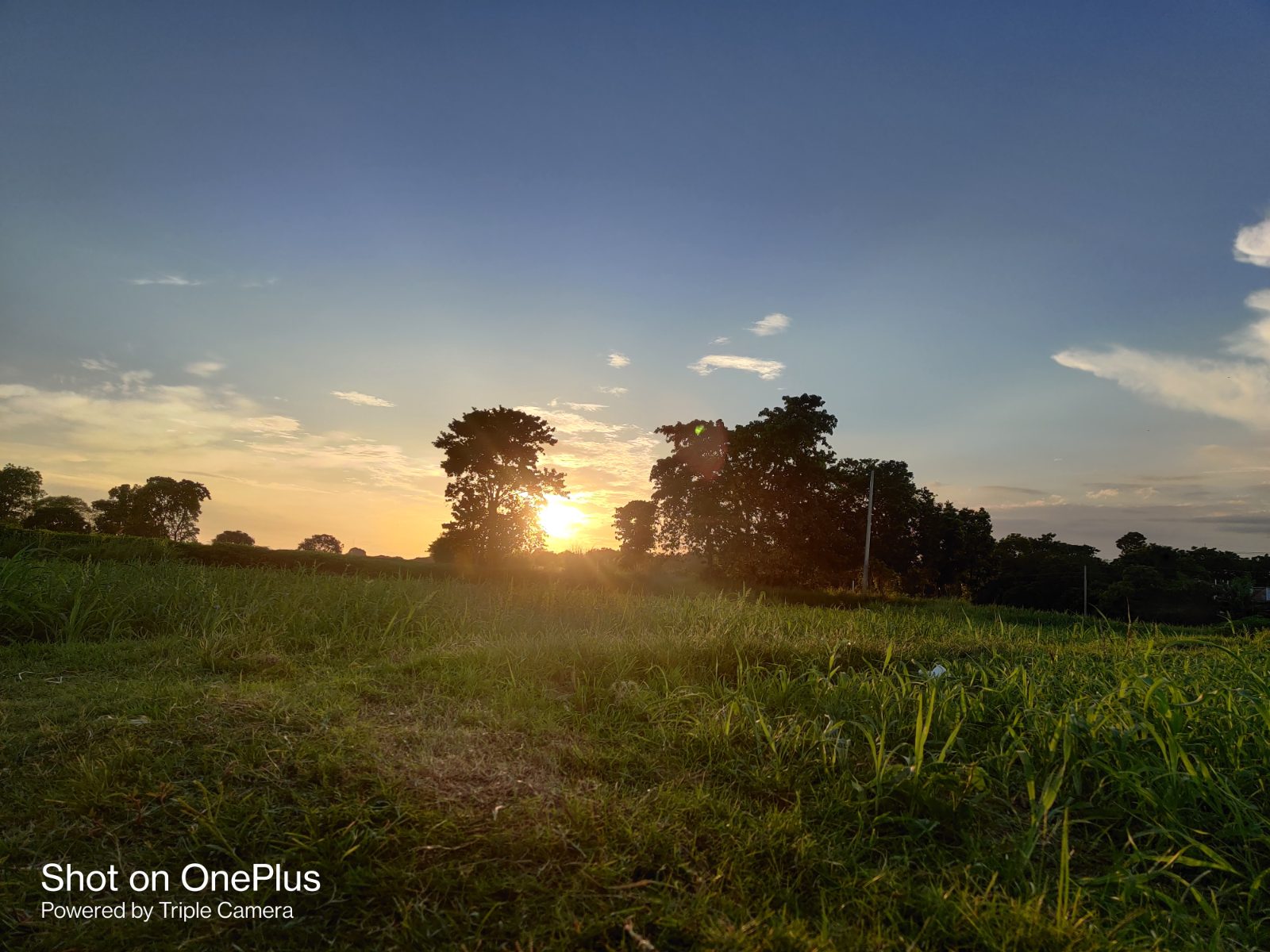 দামুসের বিল: ছবি ৯