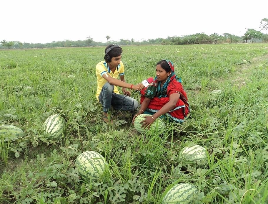 তরমুজ, পটুয়াখালী ও বরগুনা জেলায় তরমুজের ফলন বেশি।, পটুয়াখালী