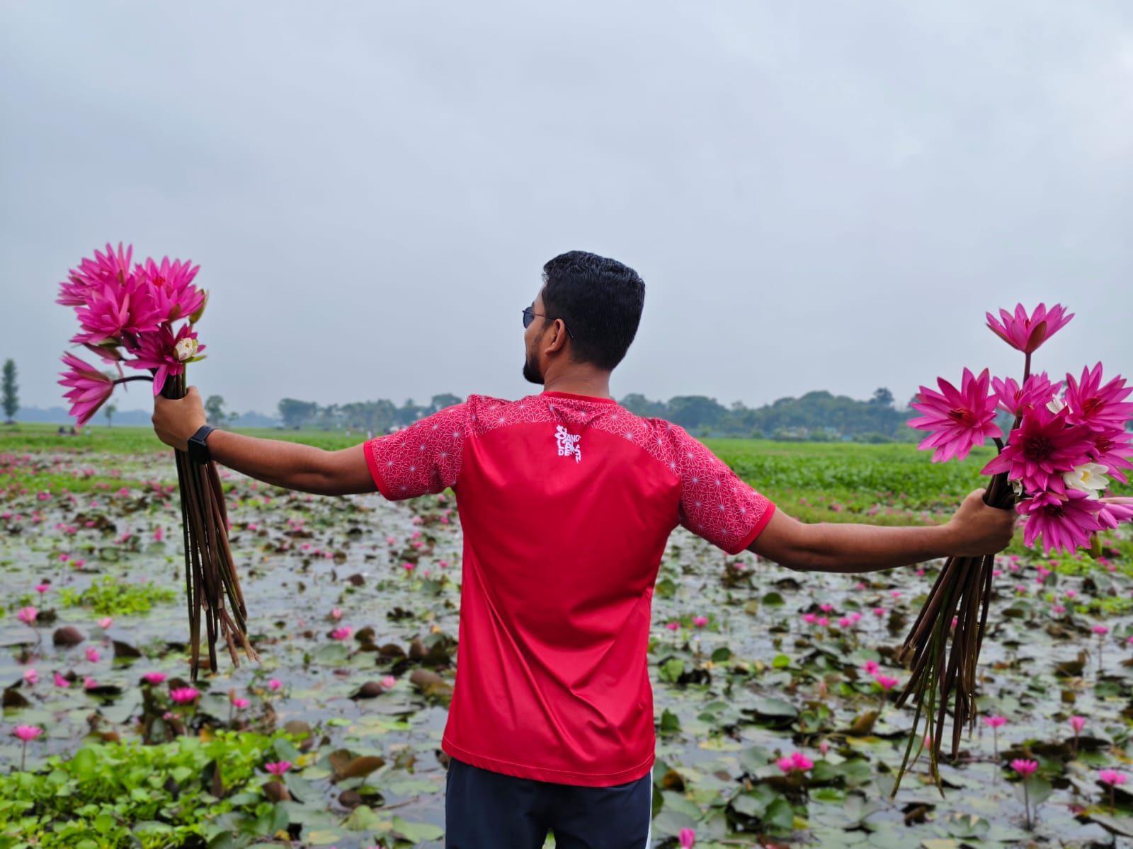 ত্রিশালের গলহর শাপলা বিল: ছবি ৪