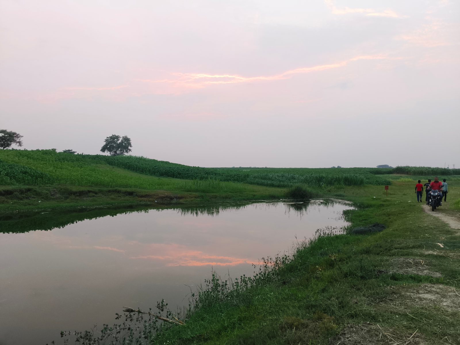 ভাগজোত পদ্মা নদী: ছবি ৭