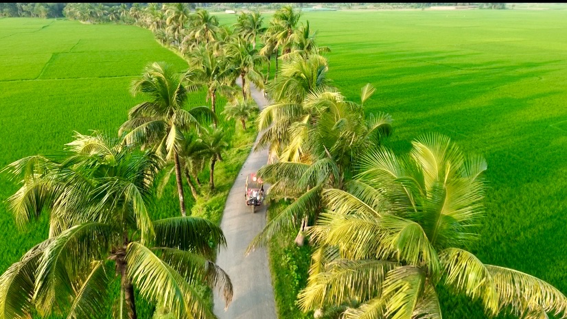 নারিকেল রোড: ছবি ২
