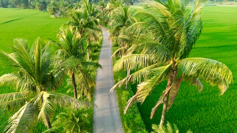 নারিকেল রোড: ছবি ৩