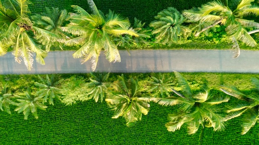 নারিকেল রোড: ছবি ৪