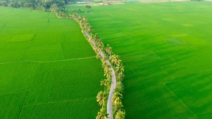 নারিকেল রোড: ছবি ৫