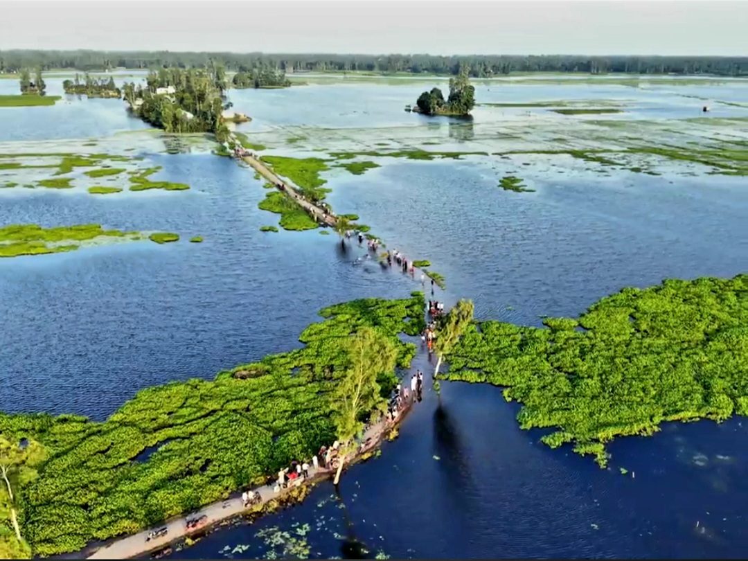 তেনাচিরা বিল: ছবি ২