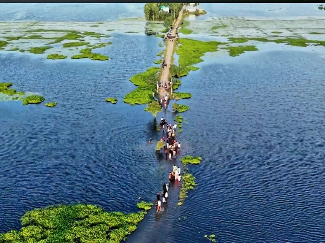 তেনাচিরা বিল: ছবি ৪