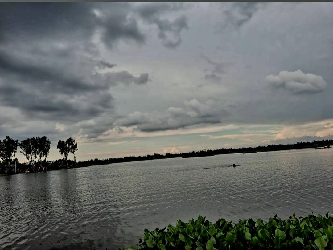 তেনাচিরা বিল: ছবি ৫
