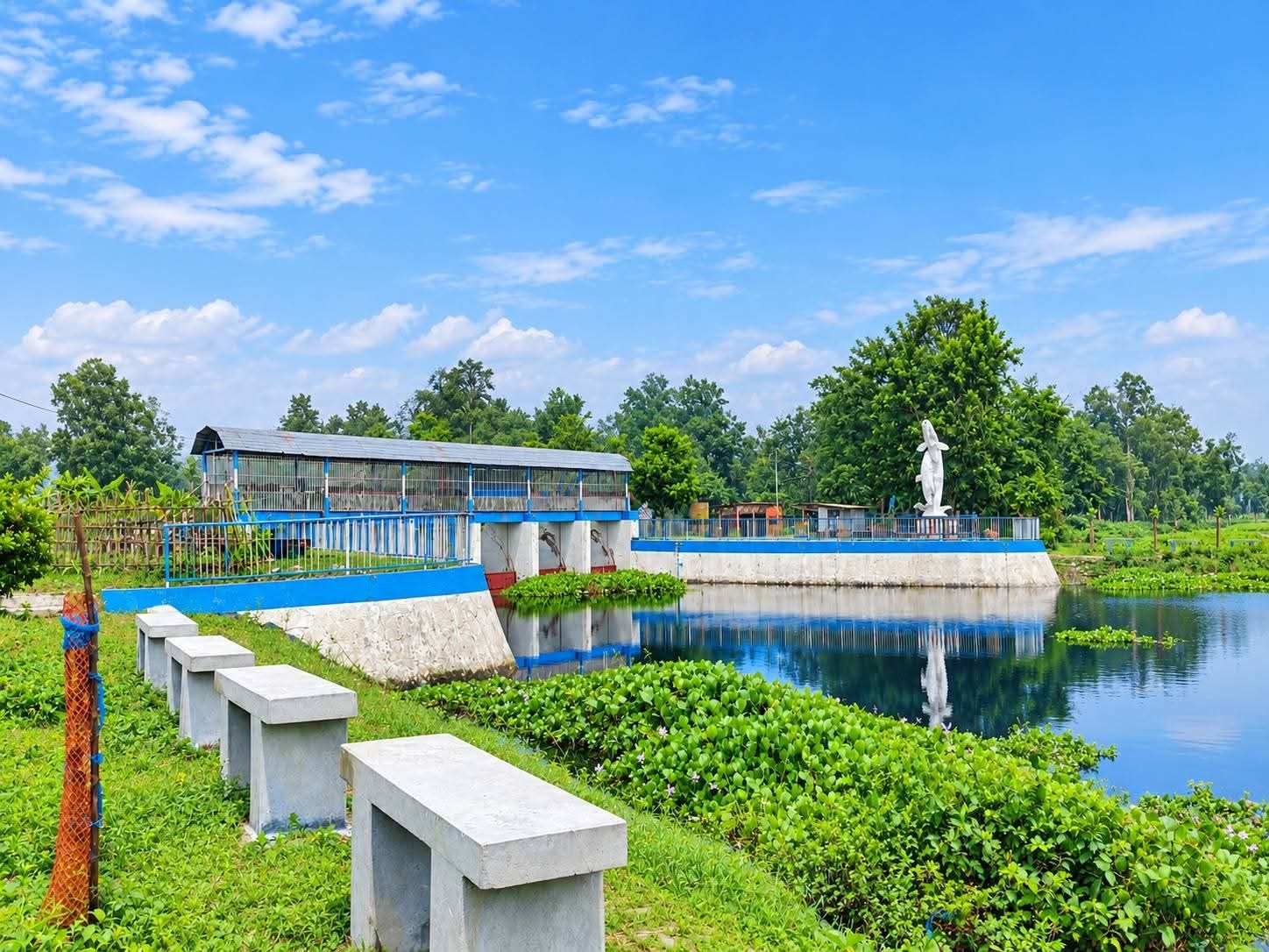 বুড়ির বাঁধ মৎস্য চত্বর, ঠাকুরগাঁও: ছবি ৩
