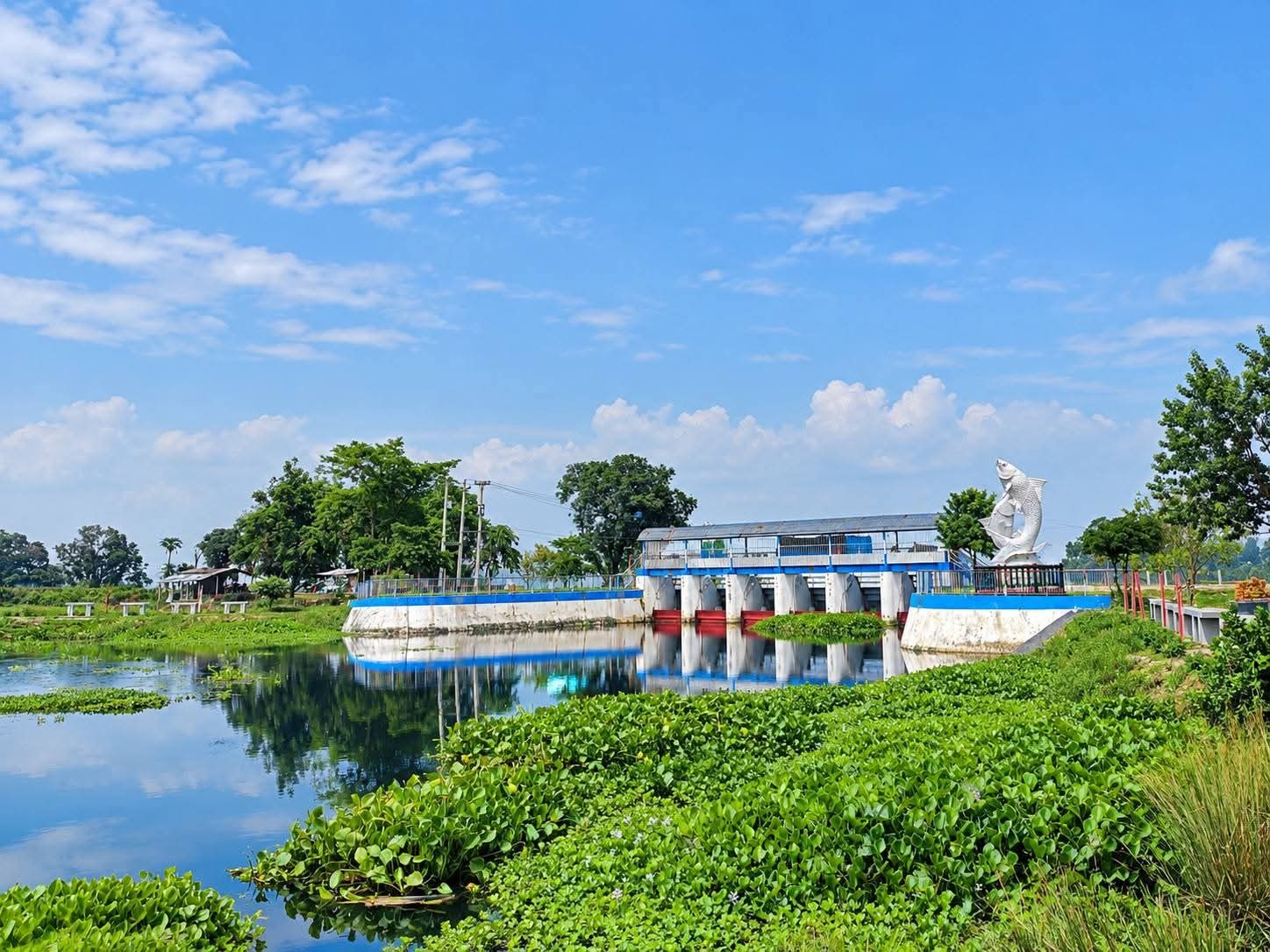 বুড়ির বাঁধ মৎস্য চত্বর, ঠাকুরগাঁও: ছবি ৪