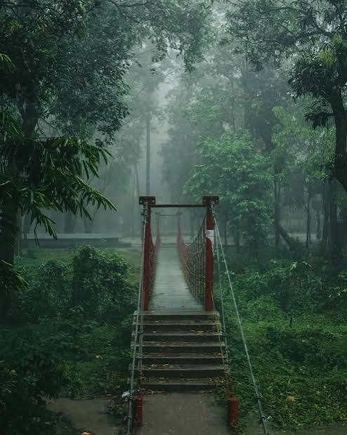 চট্টগ্রাম বিশ্ববিদ্যালয় ক্যাম্পাস: ছবি ২