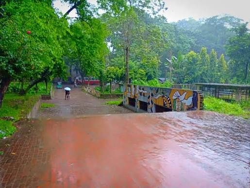 চট্টগ্রাম বিশ্ববিদ্যালয় ক্যাম্পাস: ছবি ৬