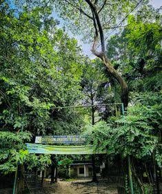চট্টগ্রাম বিশ্ববিদ্যালয় ক্যাম্পাস: ছবি ৮