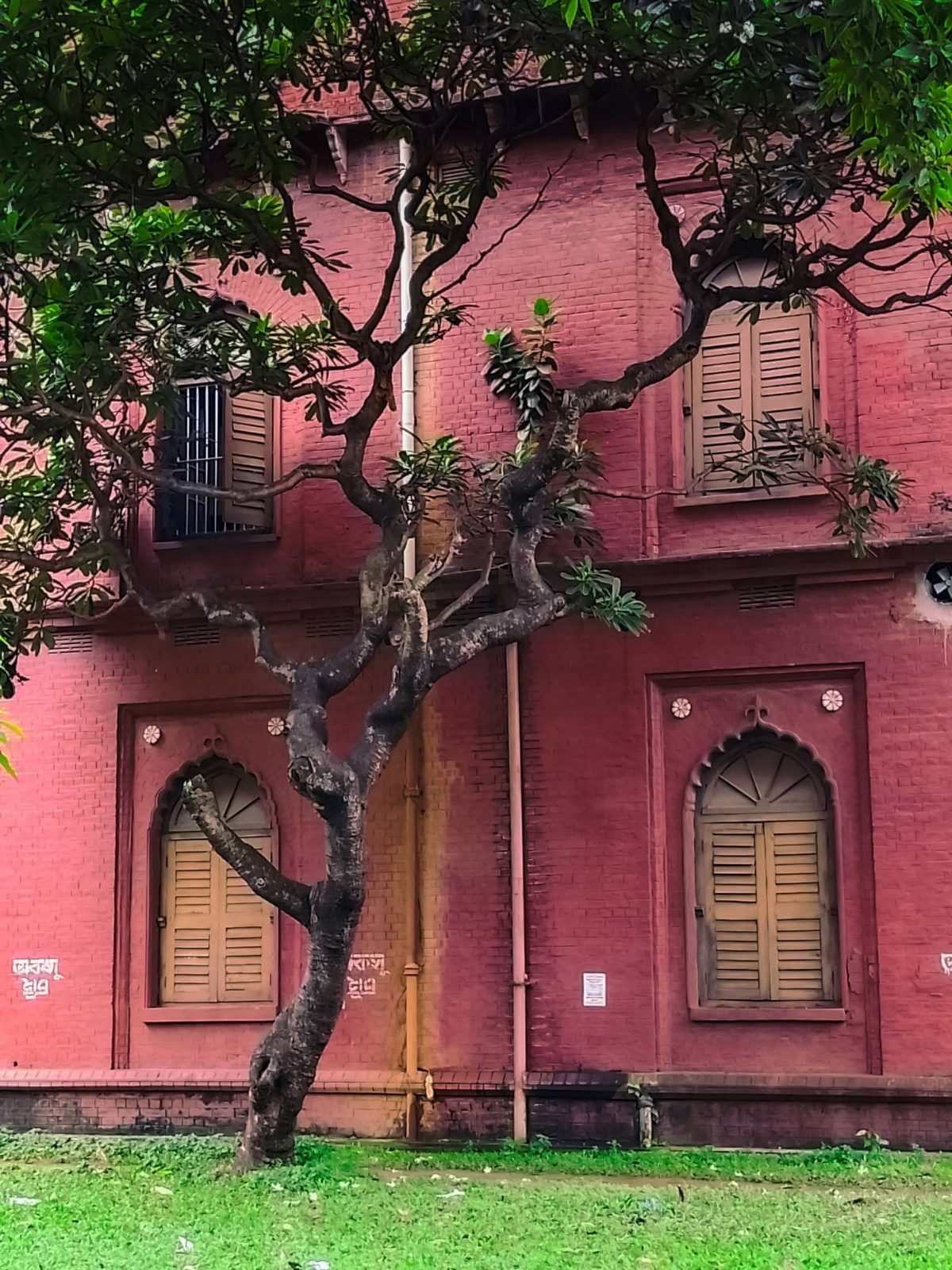 কার্জন হল (Curzon Hall): ছবি ৬