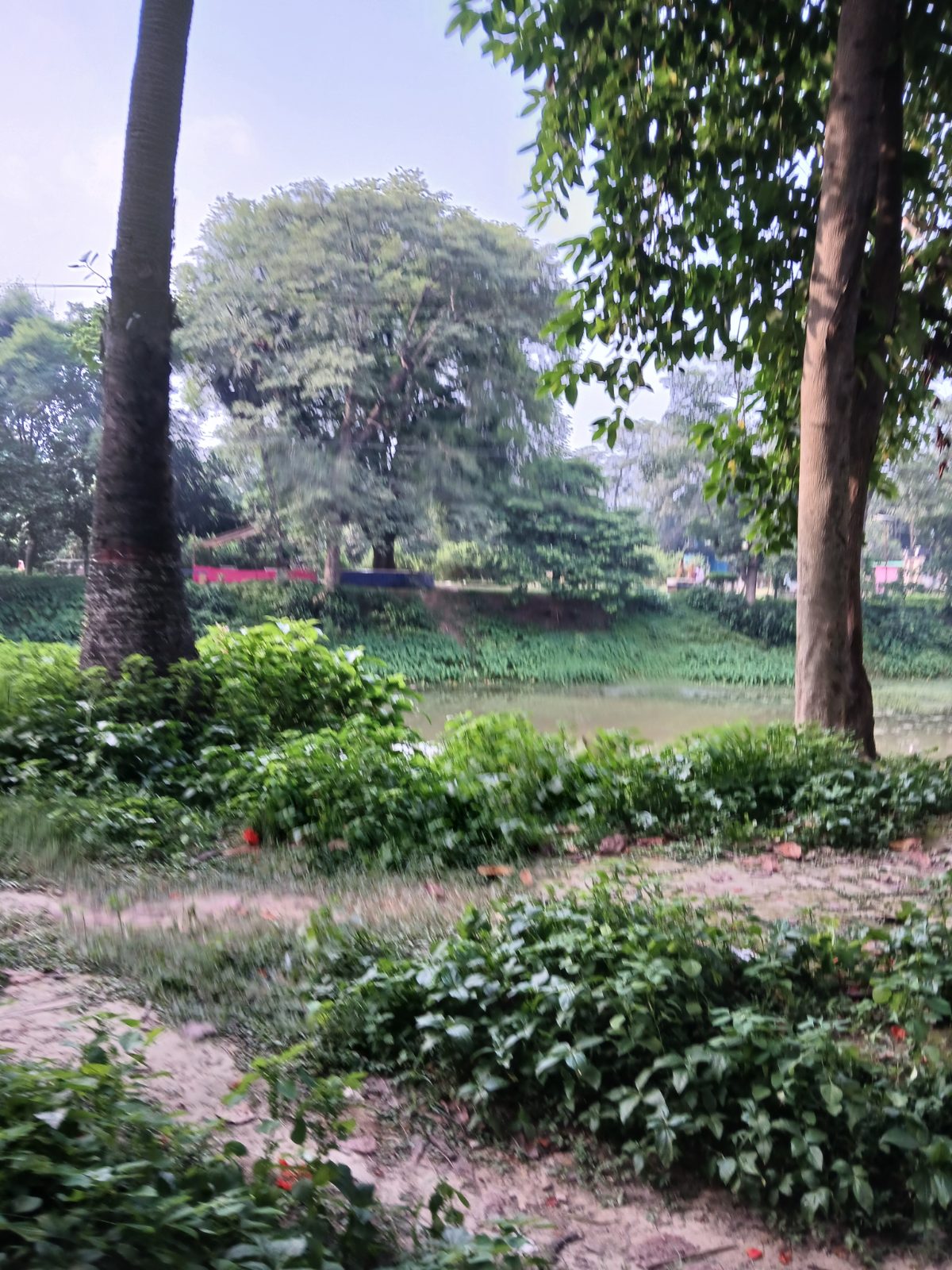ভাটপাড়া নিলকুঠী ও ডিসি ইকো পার্ক: ছবি ৪