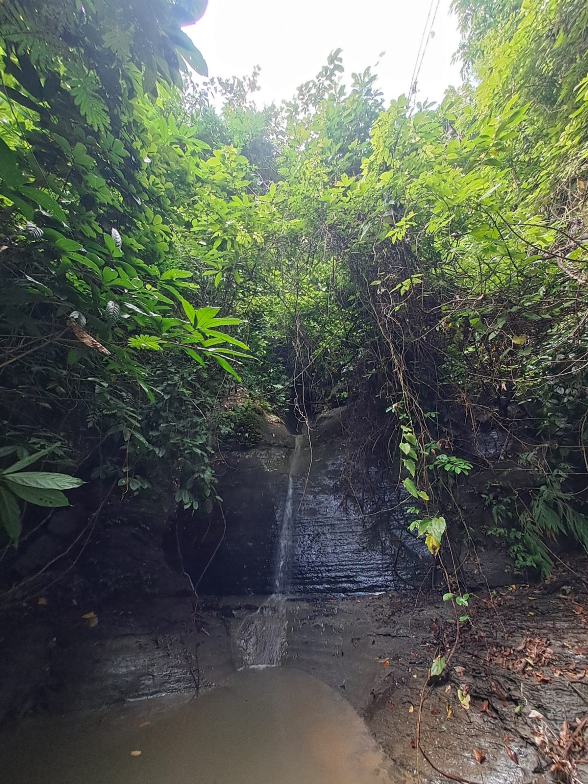 হোয়াইটপিক স্টেশন: ছবি ৫