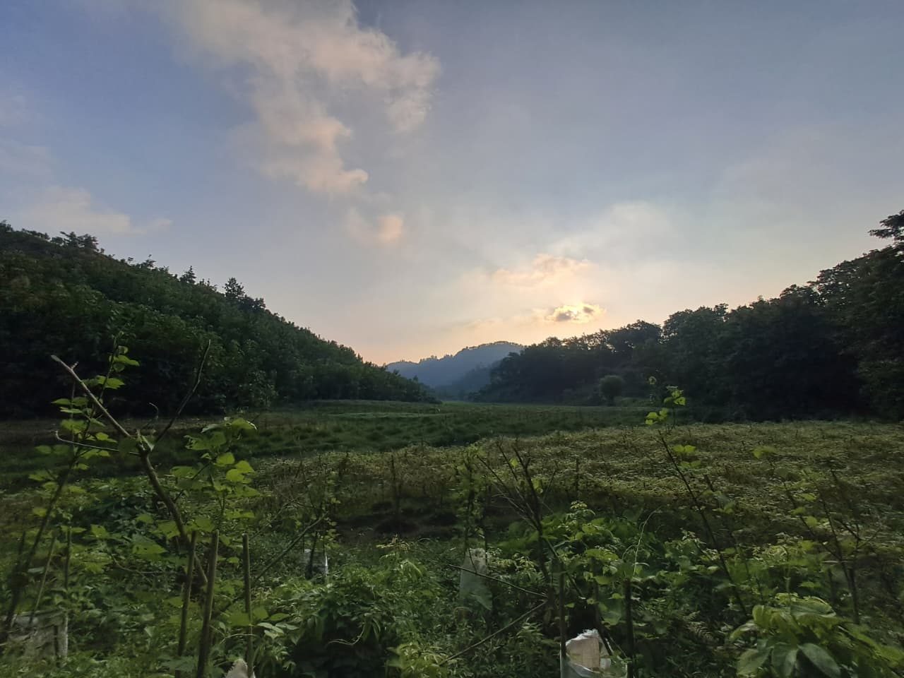 হোয়াইটপিক স্টেশন: ছবি ৬
