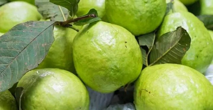 Sayedor, চন্দনাইশ, চট্টগ্রাম