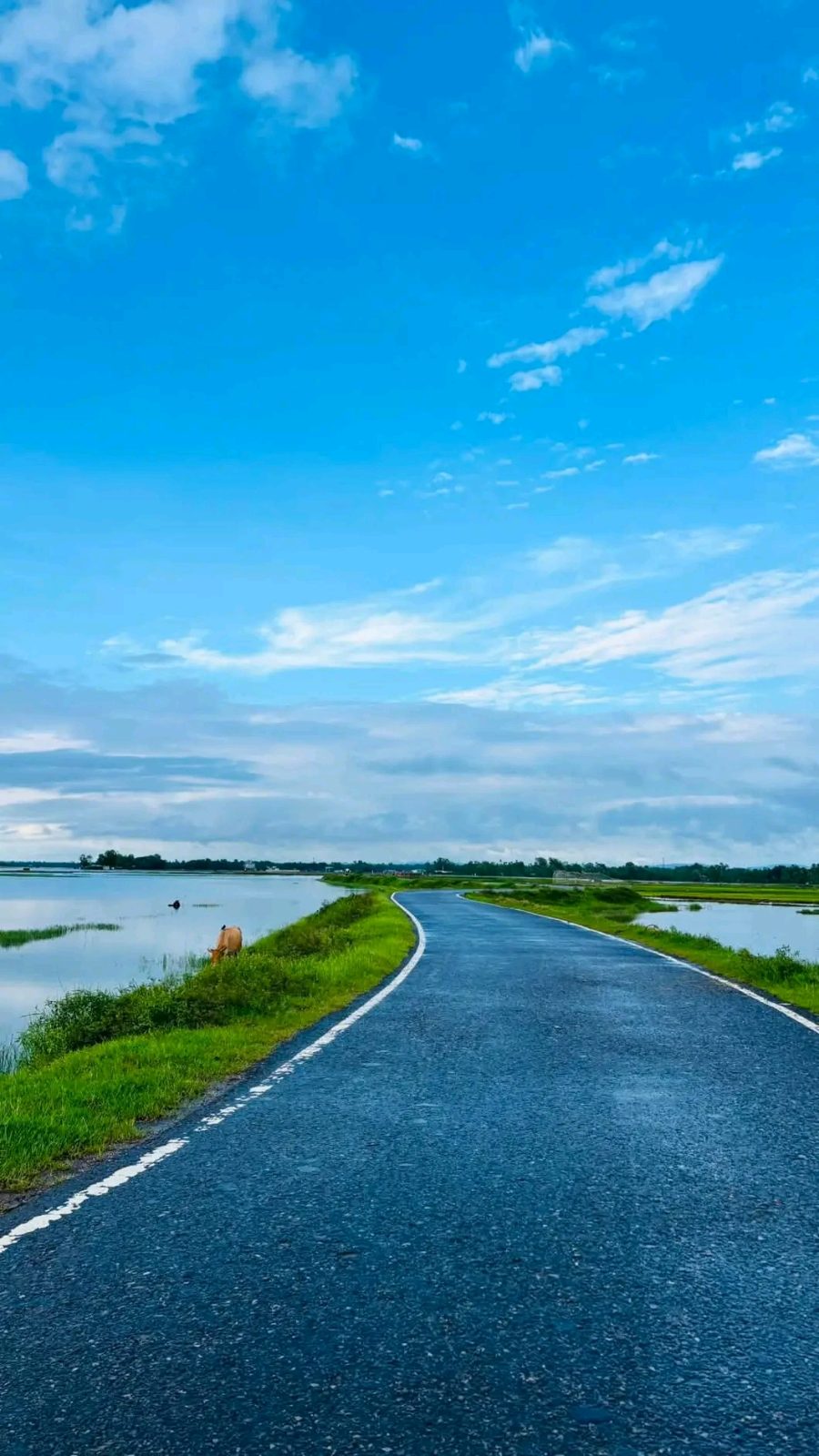 ইসলামপুর খান বিচ: ছবি ৮