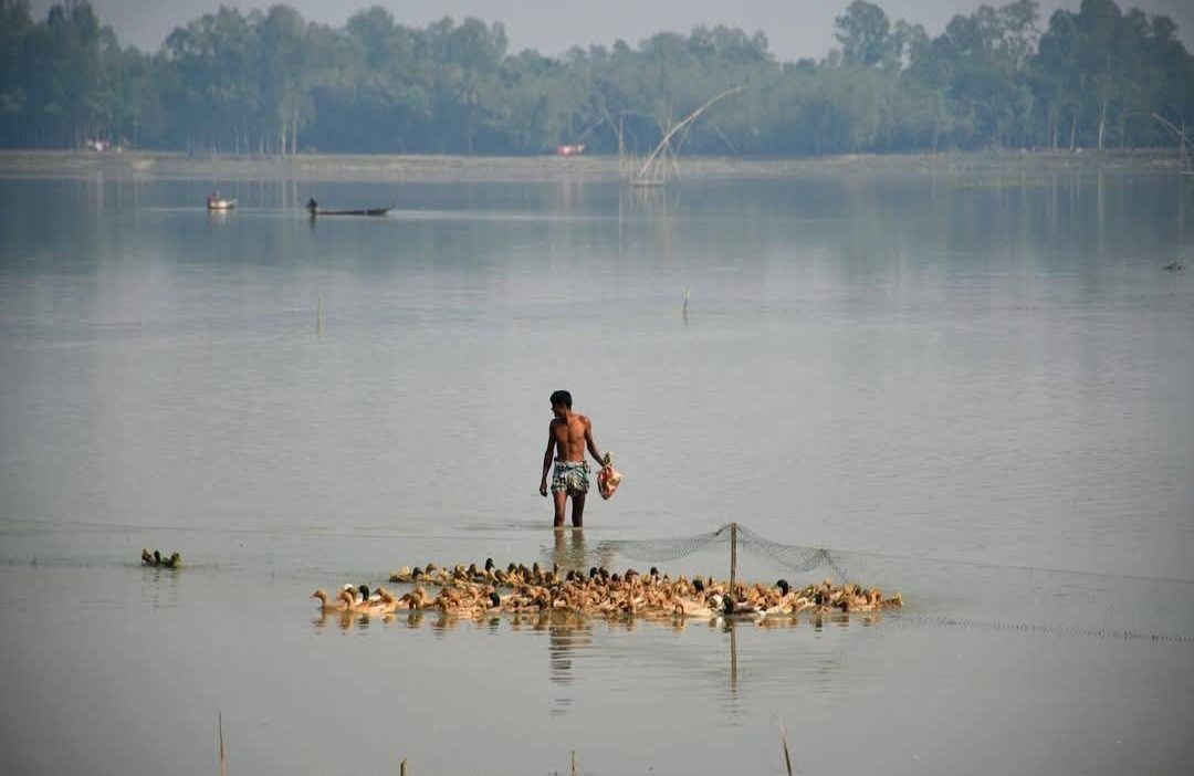 কাটাগড় (বড়বিলা): ছবি ২