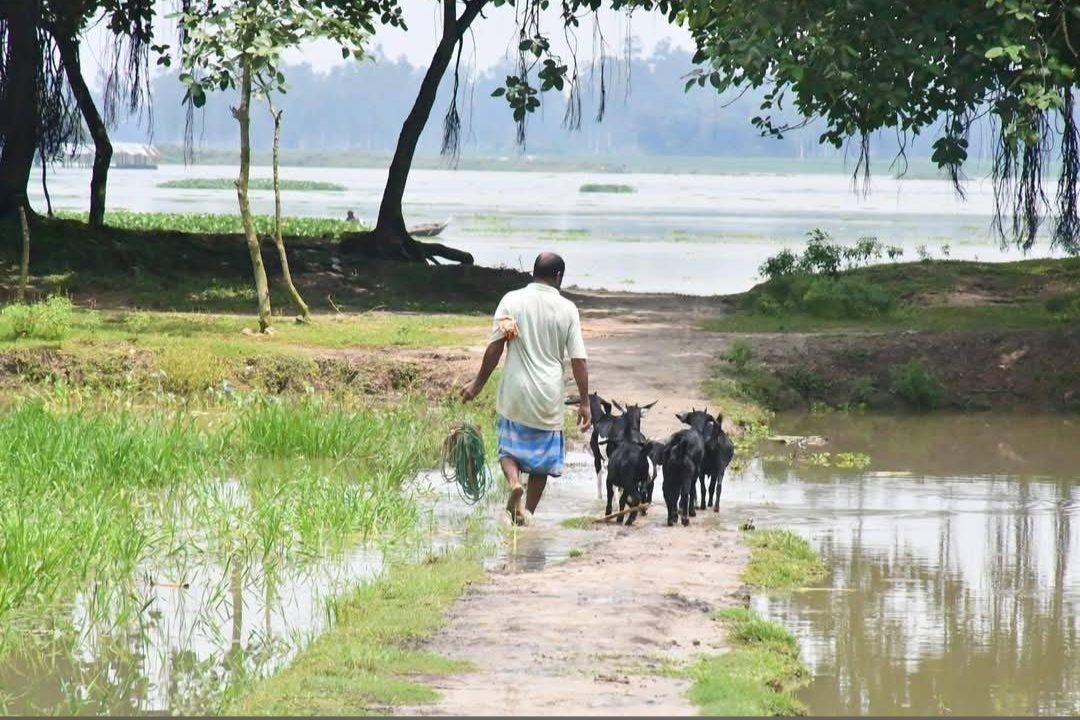 কাটাগড় (বড়বিলা): ছবি ৩