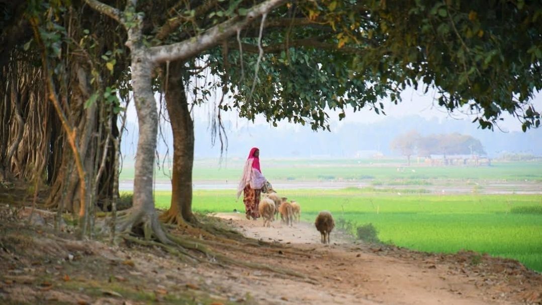 কাটাগড় (বড়বিলা): ছবি ৪