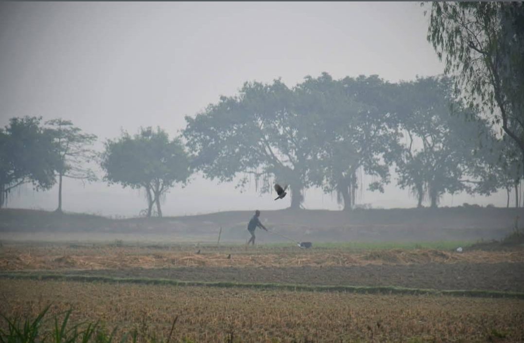 কাটাগড় (বড়বিলা): ছবি ৫