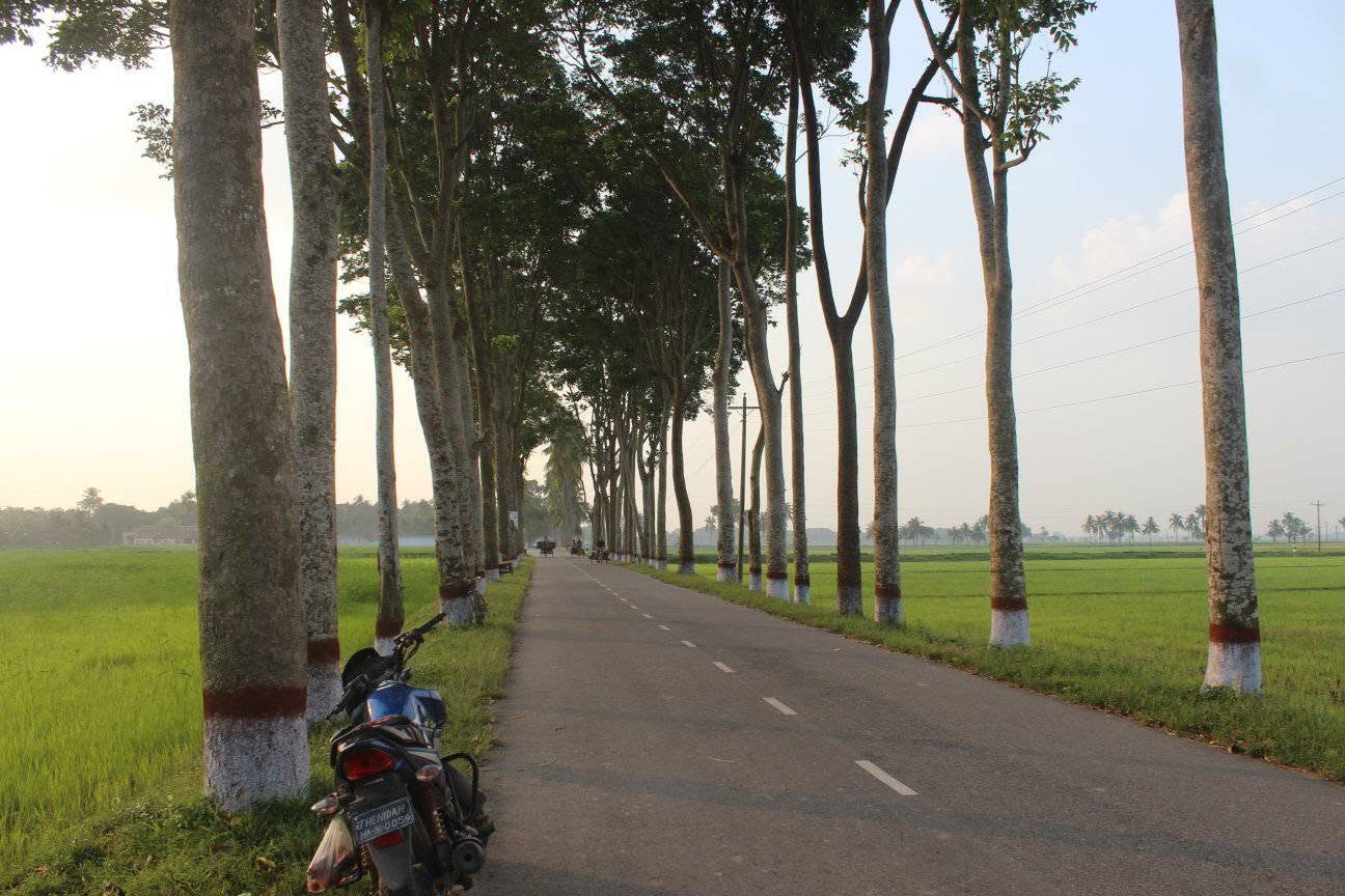 দত্তনগর কৃষি খামার, মহেশপুর, ঝিনাইদহ: ছবি ৪