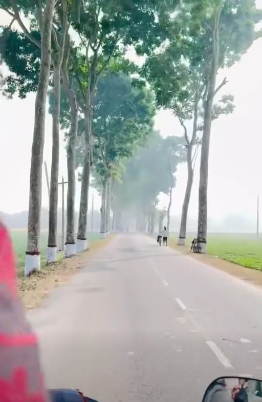 দত্তনগর কৃষি খামার, মহেশপুর, ঝিনাইদহ: ছবি ১০