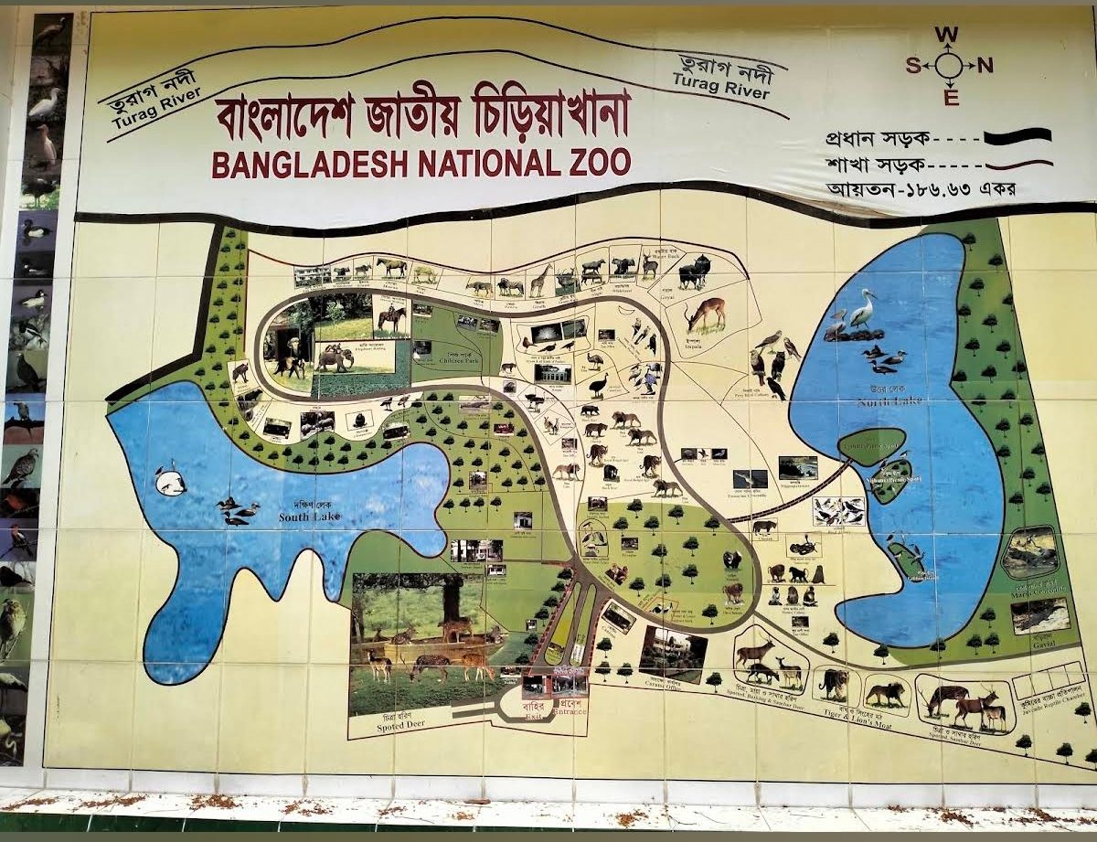 জাতিয় চিড়িয়াখানা: ছবি ৪