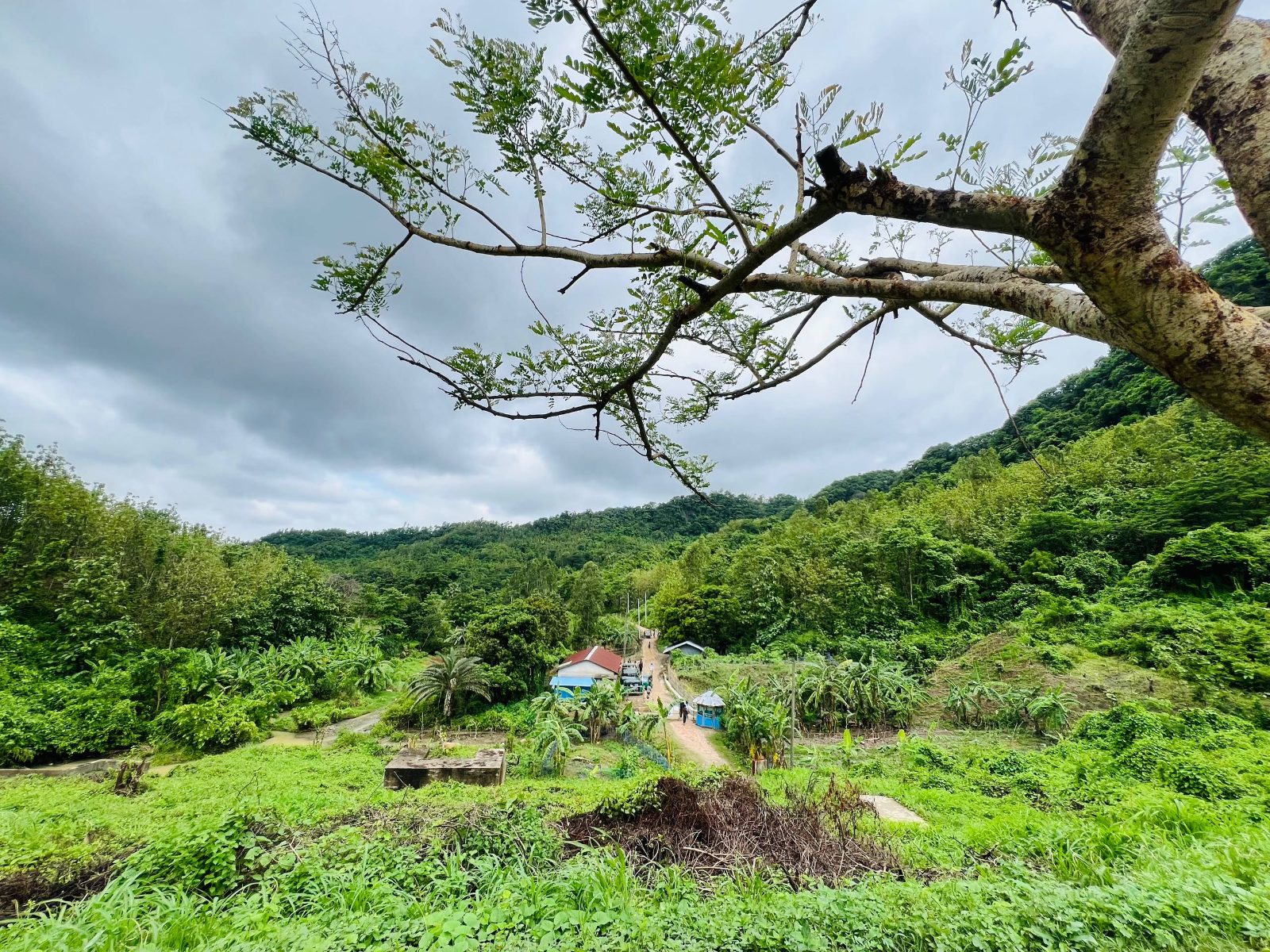 সহস্রধারা - ২ ঝর্ণা: ছবি ৪