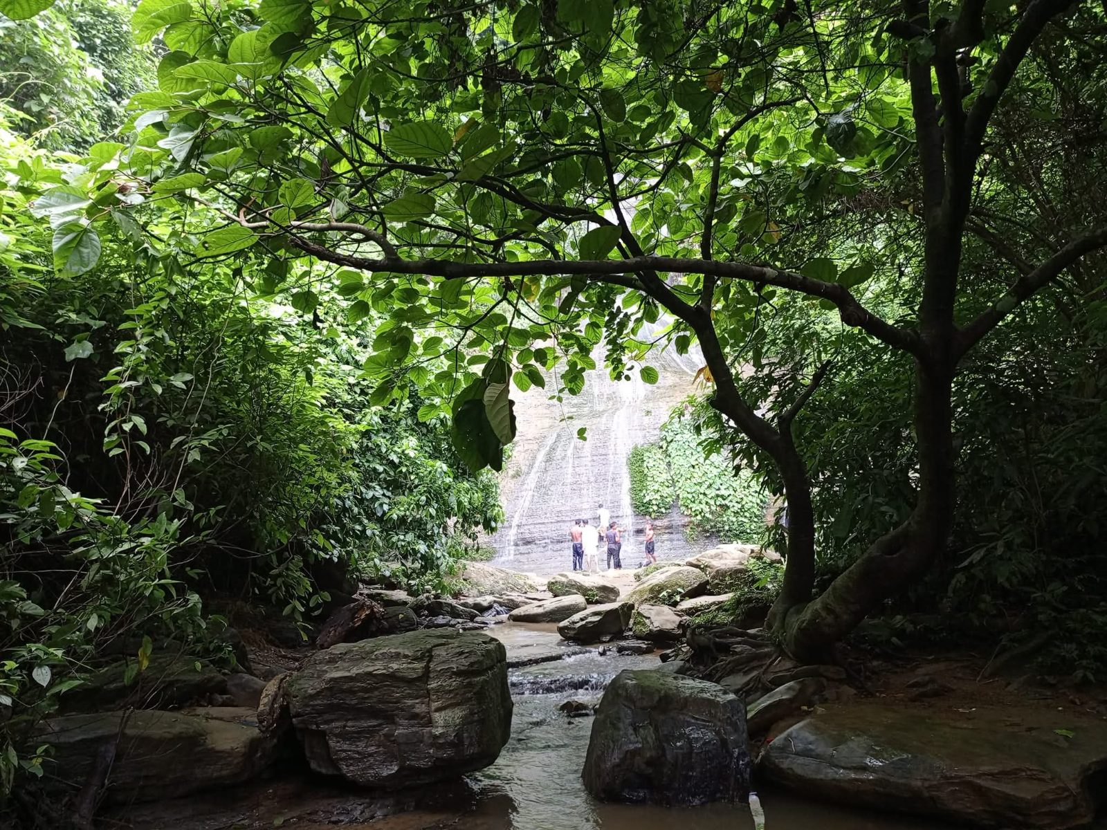 নাপিত্তাছড়া ঝর্ণা: ছবি ৩