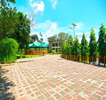 ওয়ান্ডার পার্ক ও ইকো রিসোর্ট: ছবি ৪