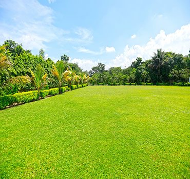 ওয়ান্ডার পার্ক ও ইকো রিসোর্ট: ছবি ৫