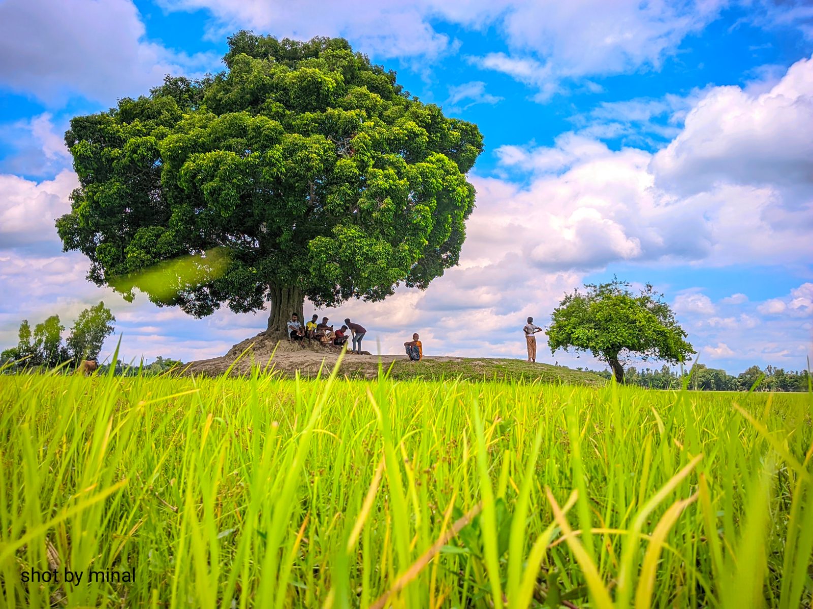 বকুল তলা, গাইবান্ধা সদর, গাইবান্ধা