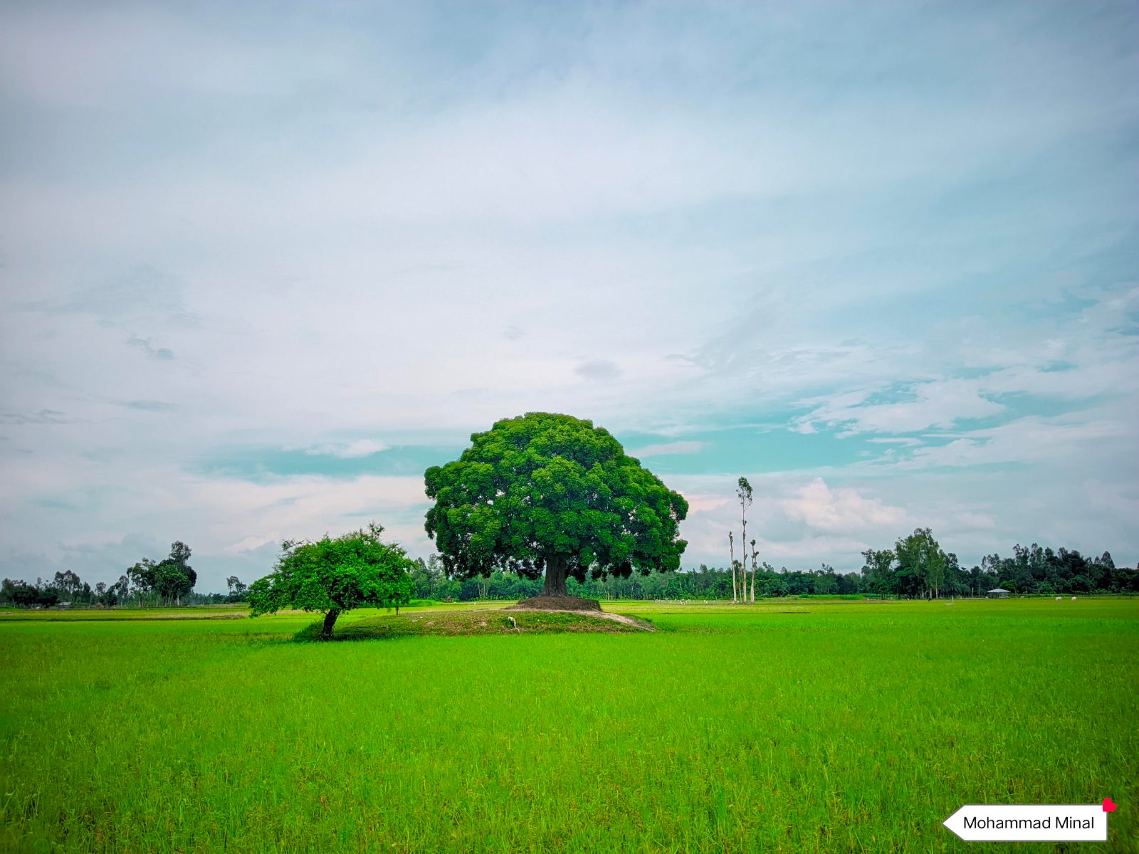 বকুল তলা: ছবি ৩