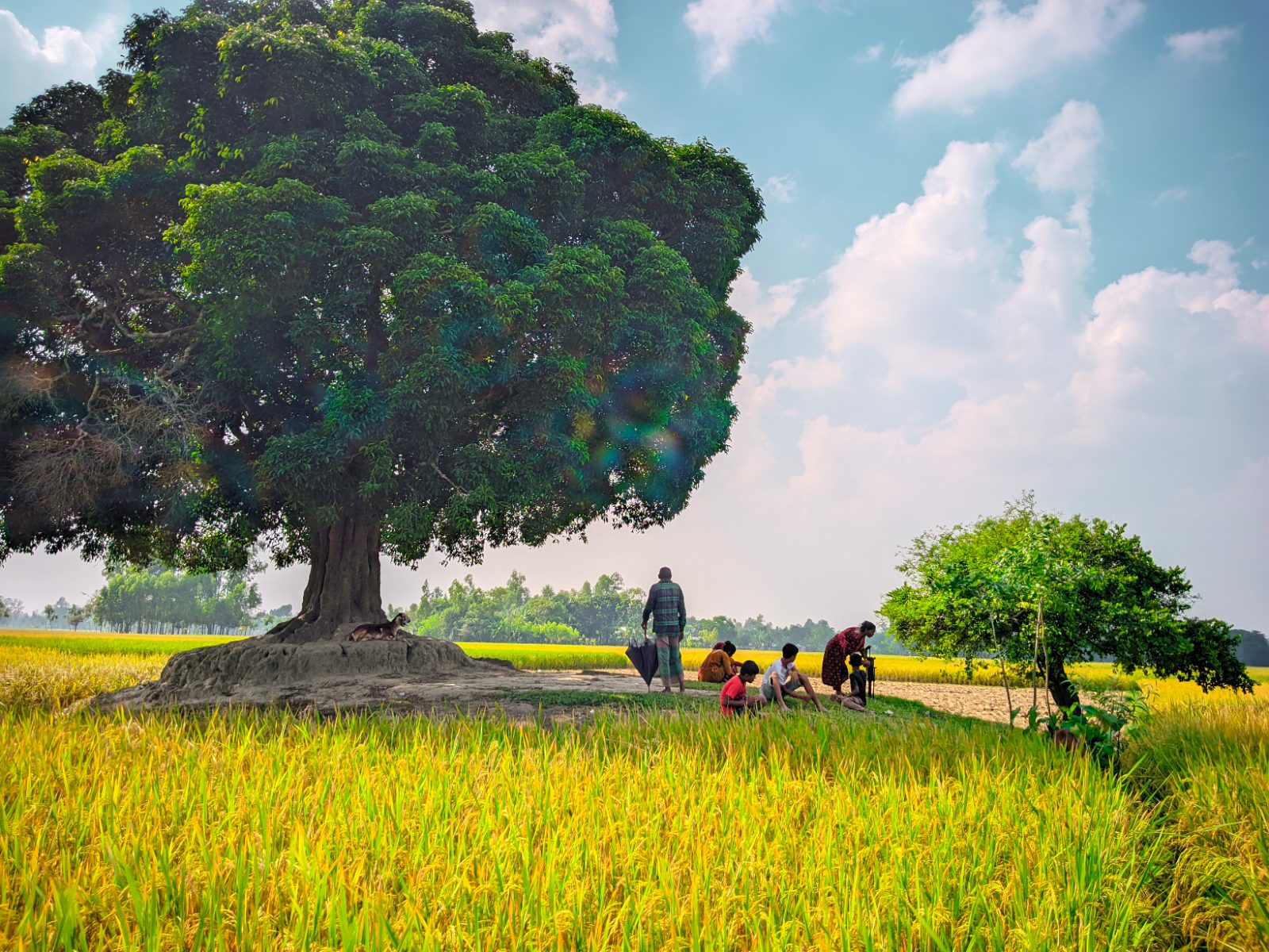 বকুল তলা: ছবি ৭