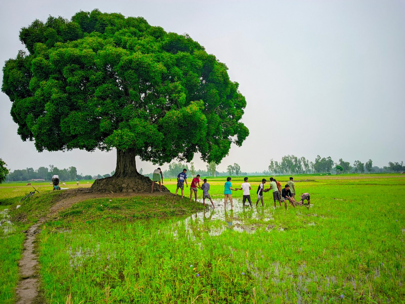 বকুল তলা: ছবি ৮