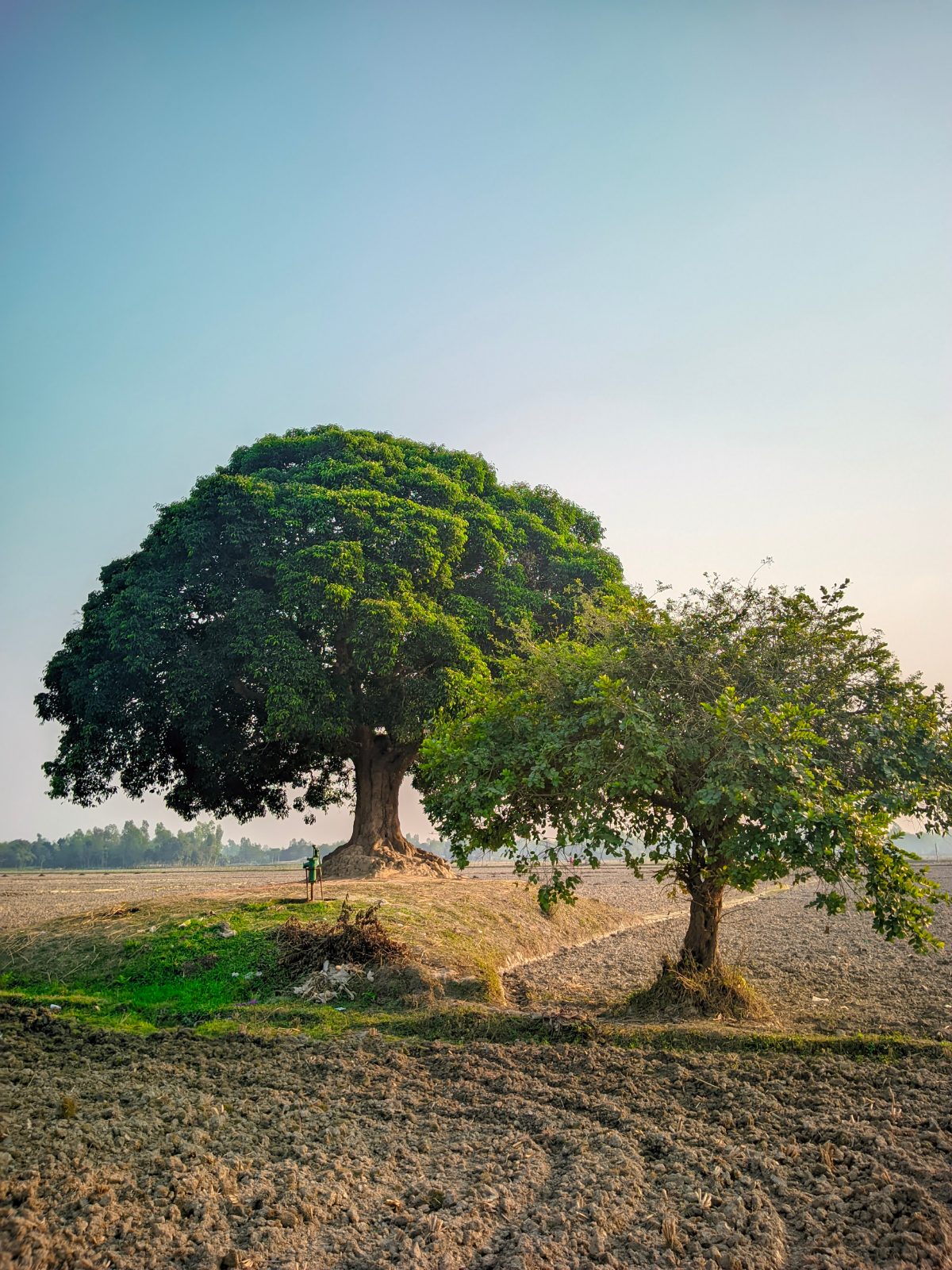 বকুল তলা: ছবি ৯