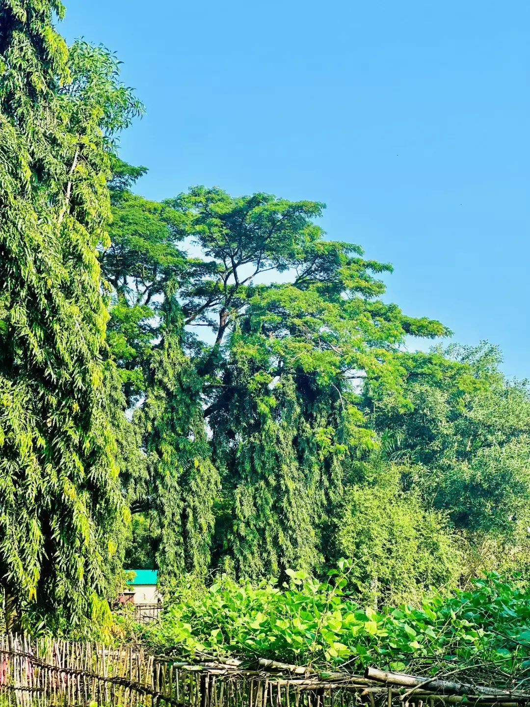কাস্টম ঘাট: ছবি ৫