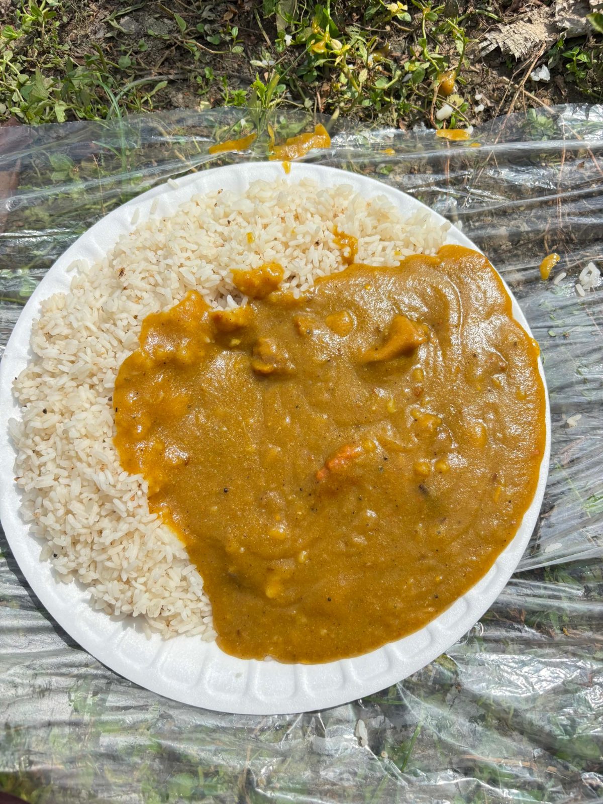 সরিষাবাড়ী মেয়র পার্ক: ছবি ৩