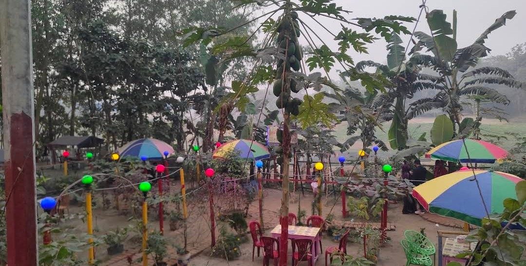 সরিষাবাড়ী মেয়র পার্ক: ছবি ৪