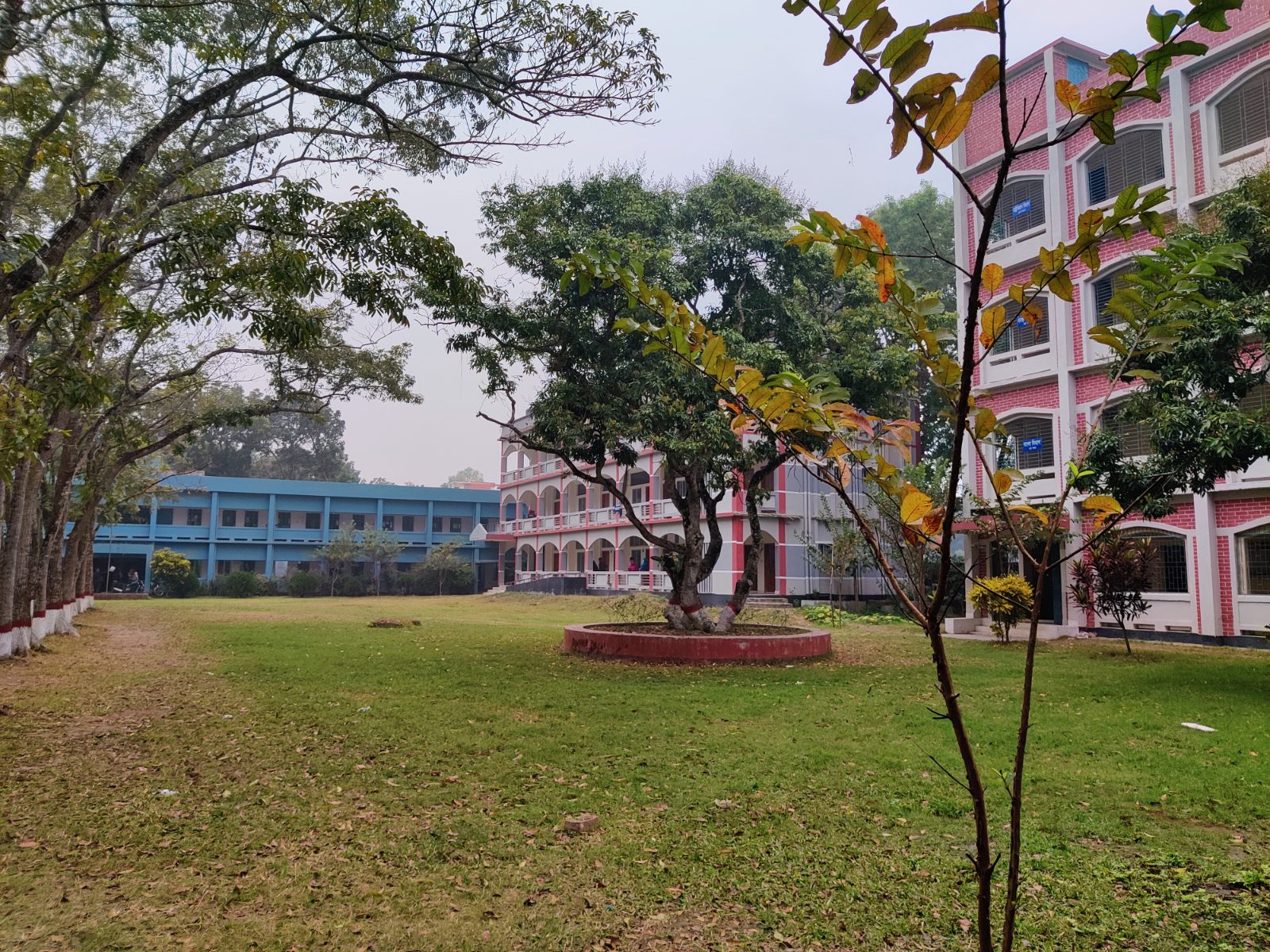 সরিষাবাড়ী মেয়র পার্ক: ছবি ৫