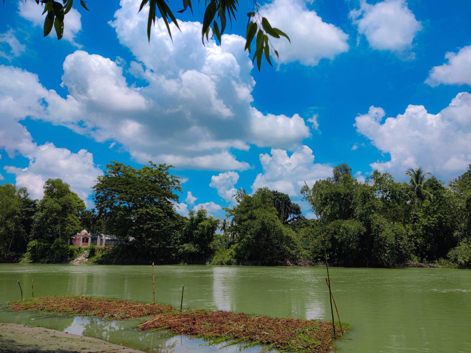সরিষাবাড়ী মেয়র পার্ক: ছবি ৬