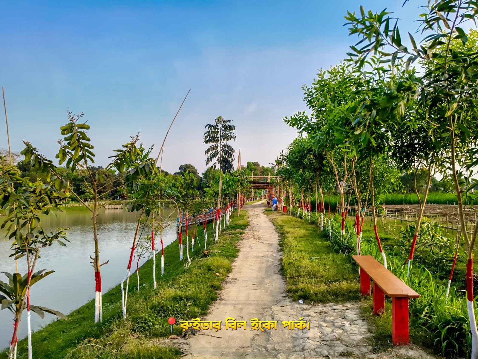 রুইতার বিল ইকো পার্ক: ছবি ৪